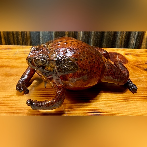 TAXIDERMY BULLFROG CHANGE PURSE - Picture 3 of 6